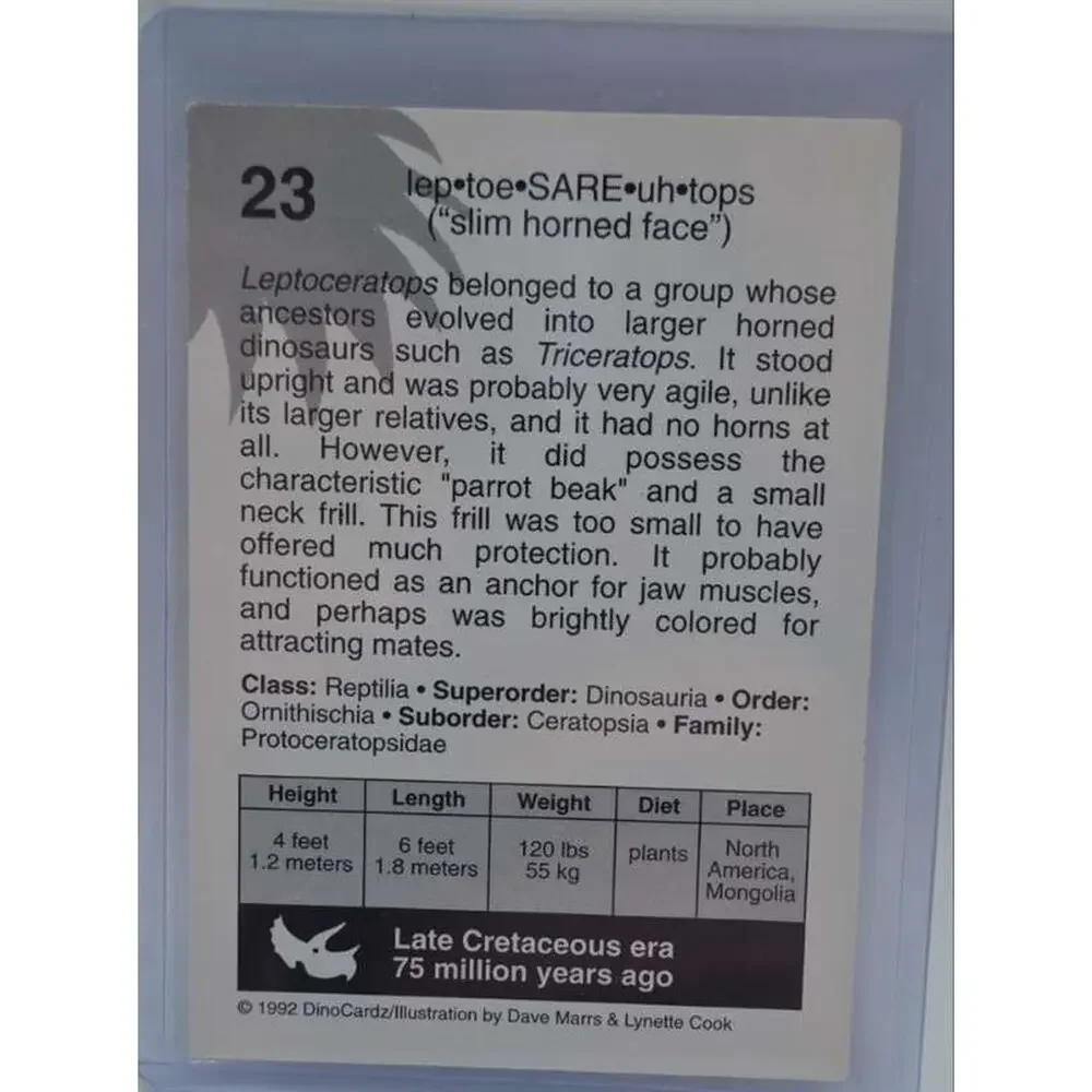 1992 DinoCardz #23 Leptoceratops Card